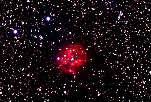 IC 5146 Cocoon Nebula in Cygnus