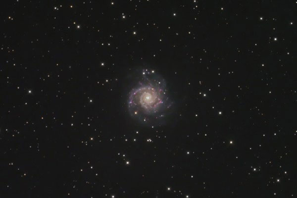 Galaxy M-74 in Pisces