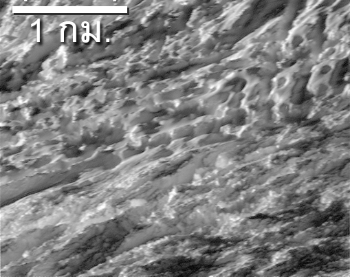 ภาพพื้นผิวของดวงจันทร์เอนเซลาดัส ถ่ายจากยานแคสซีนีที่ระดับความสูง 124 กิโลเมตร