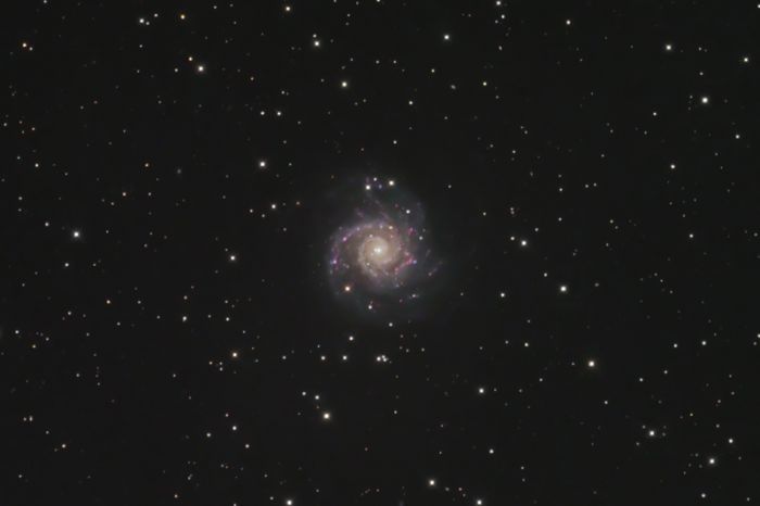 Galaxy M-74 in Pisces