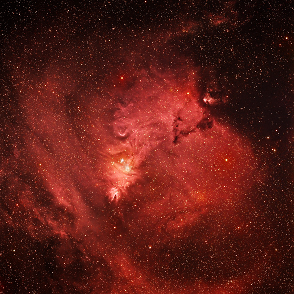Cone Nebula Wide Field
