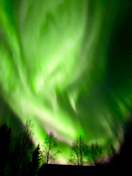 แสงเหนือ