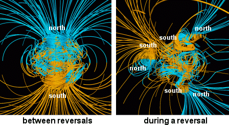 แบบจำลองสนามแม่เหล็กโลกบนซูเปอร์คอมพิวเตอร์ ทางซ้ายคือโลกในภาวะปรกติ ทางขวาคือโลกในช่วงที่เกิดการสลับขั้วแม่เหล็ก