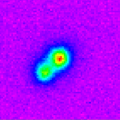 ดาวแคระน้ำตาลคู่ ถ่ายโดยกล้องเจมิไนใต้เมื่อวันที่ 18 สิงหาคม 2546 ภาพนี้มีความกว้าง 4x4 พิลิปดา ดาวดวงที่สว่างกว่าคือเอปไซลอนอินเดียนแดงบีเอ ดวงที่จางกว่าคือเอปไซลอนอินเดียนแดงบีบี (ภาพจาก Gemini Observatory/PHEONIX)